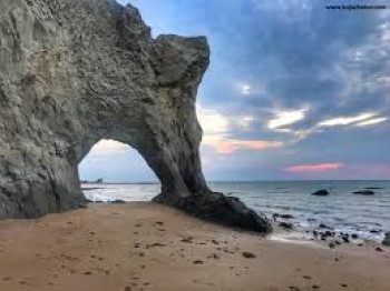 ساحل لاک پشت ها