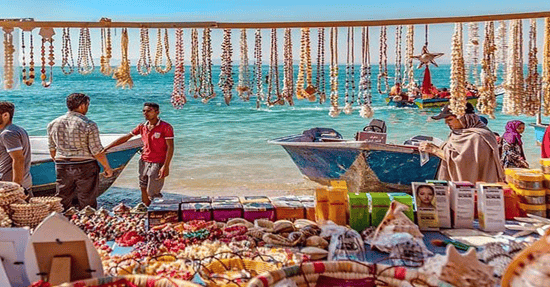 صدف و وسائل تزیینی با صدف